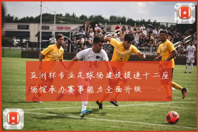 亚洲杯专业足球场建设提速十二座场馆承办赛事能力全面升级