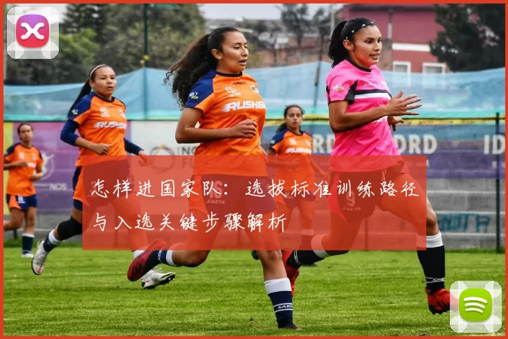 怎样进国家队：选拔标准训练路径与入选关键步骤解析