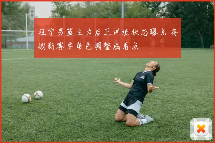 辽宁男篮主力后卫训练状态曝光 备战新赛季角色调整成看点