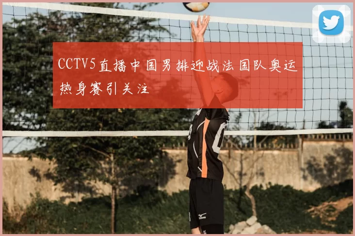 CCTV5直播中国男排迎战法国队奥运热身赛引关注